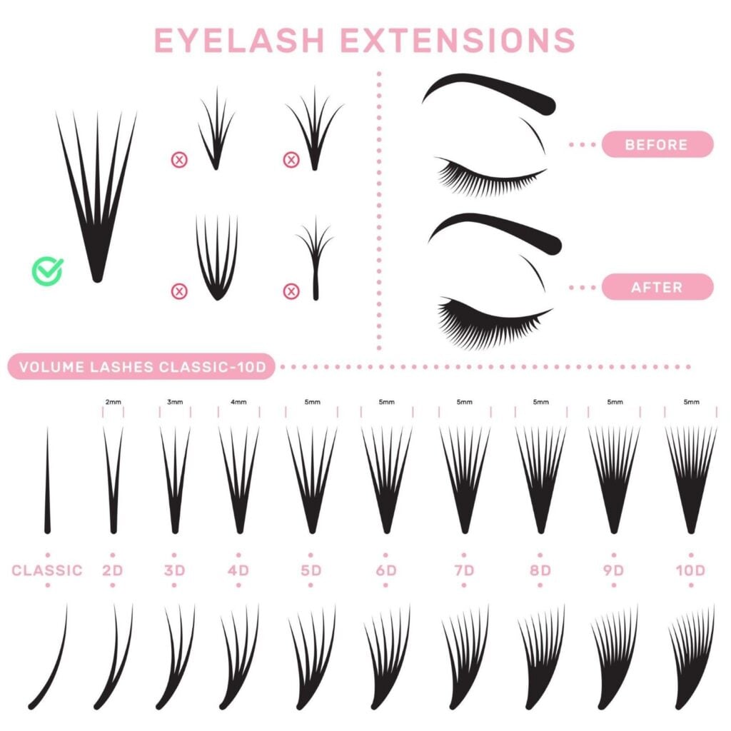 Lash Extension Types Every Cosmetologist Should Know 3 Infographic showcasing the different types of lash extensions.