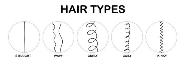 Hair Texture Guide: Styling Tips for Every Hair Texture 2 Hair types chart showing straight, wavy, curly, and coily hair patterns for cosmetology students.